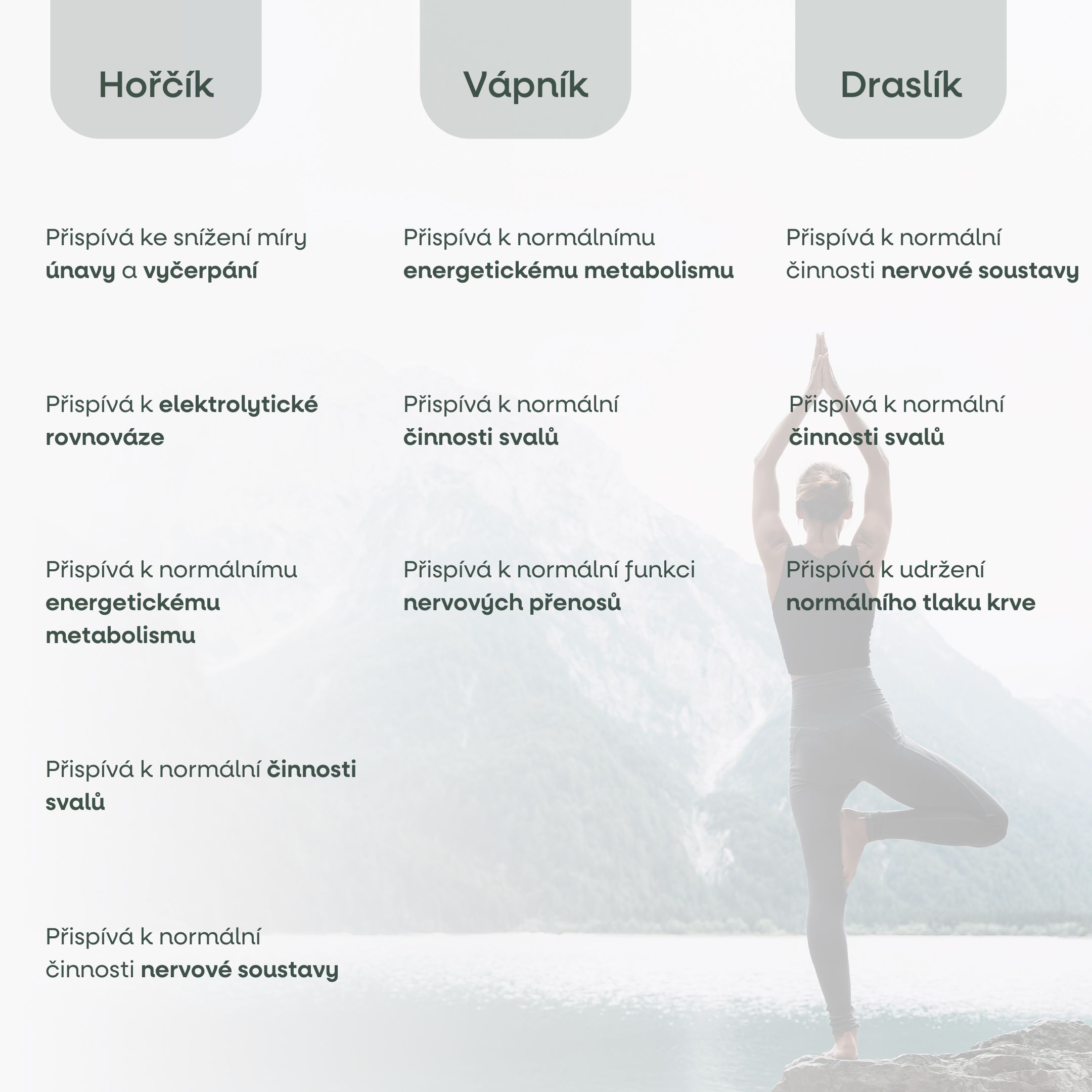 oprava voditek elektro